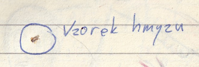 Vzorek Hmyzu